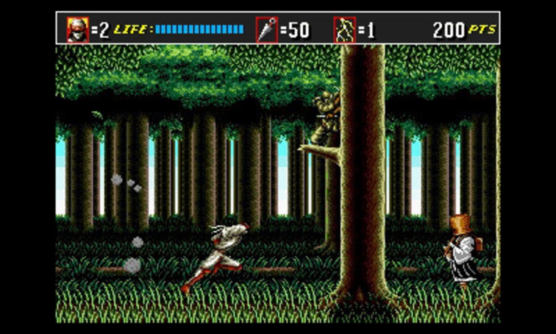 Capture d’écran 8 de 3D Shinobi III: Return of the Ninja Master