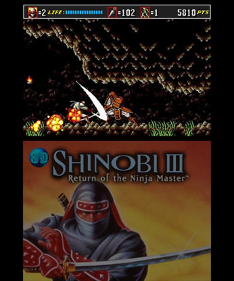 Capture d’écran 5 de 3D Shinobi III: Return of the Ninja Master